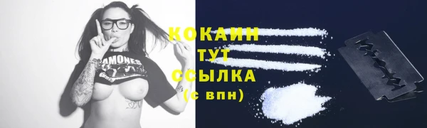 PSILOCYBIN Баксан