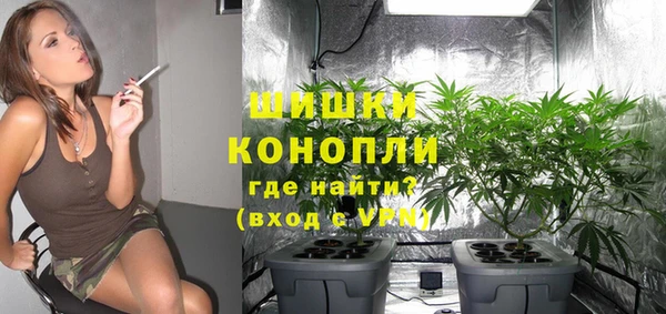 PSILOCYBIN Баксан