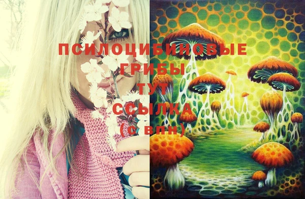 крисы Балахна