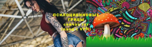 крисы Балахна
