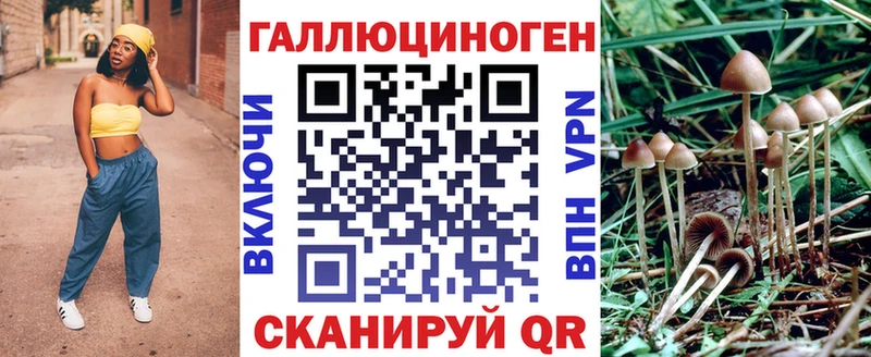 где найти наркотики  Свободный  Псилоцибиновые грибы прущие грибы 